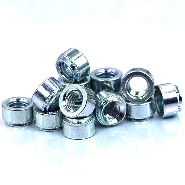 Color Zinc Plating Plated Zinc Coating  Stainless Steel Expansion Rivet Nut